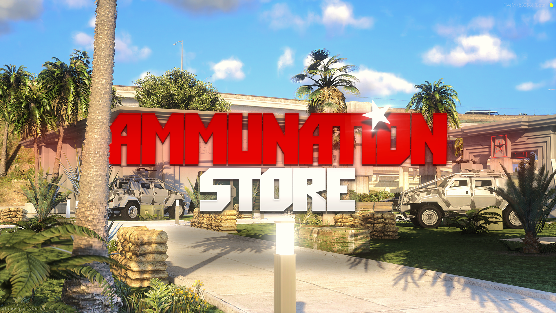 Ammunation Store